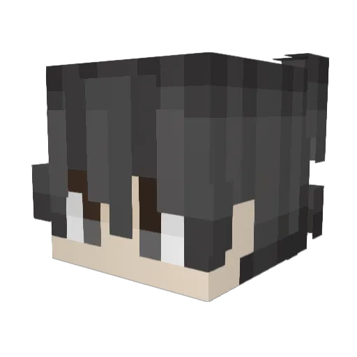 percoced Minecraft avatar head, 3D render
