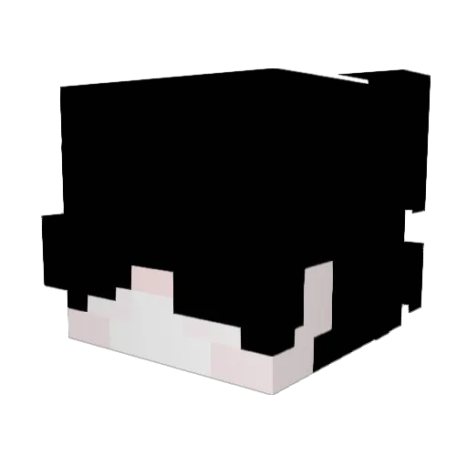 percocet30s Minecraft avatar head, 3D render