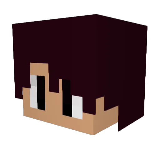 percolator9 Minecraft avatar head, 3D render