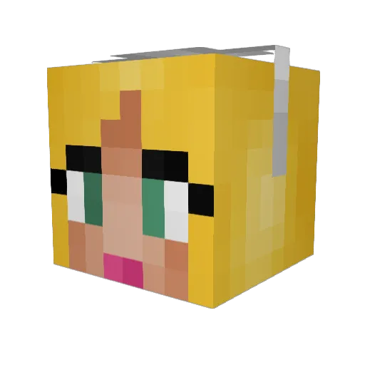 perfalken Minecraft avatar head, 3D render