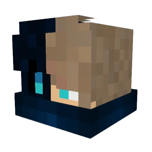 perfectboy2016 Minecraft avatar head, 3D render
