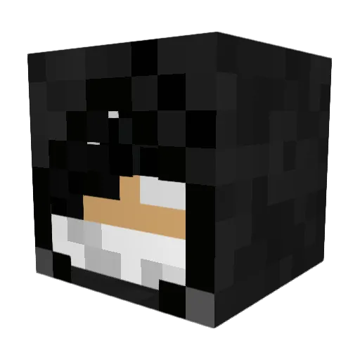 perigoinvisivel Minecraft avatar head, 3D render