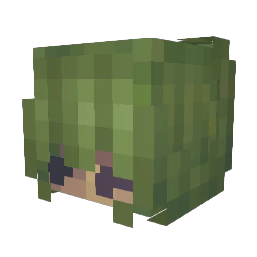 perma_lurker Minecraft avatar head, 3D render