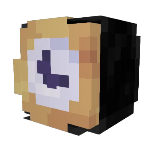 perplexedcat_ Minecraft avatar head, 3D render