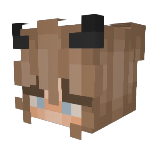 perplexedrain Minecraft avatar head, 3D render