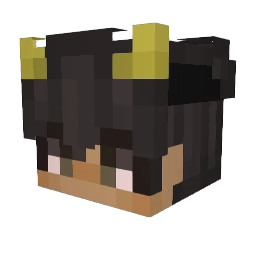 perungodd Minecraft avatar head, 3D render