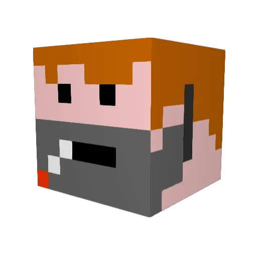 perwer1515 Minecraft avatar head, 3D render