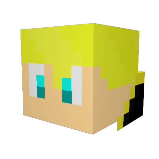pesa16 Minecraft avatar head, 3D render