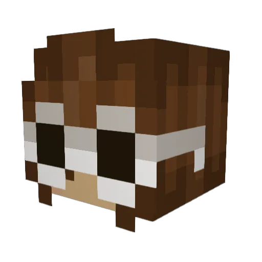 pesalee Minecraft avatar head, 3D render