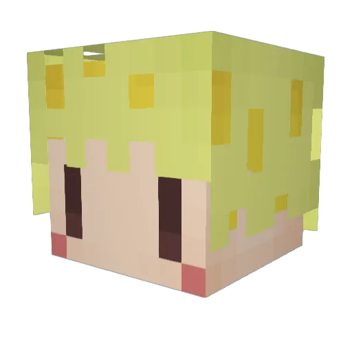 pesogin5 Minecraft avatar head, 3D render