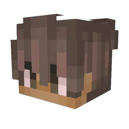 pest389 Minecraft avatar head, 3D render
