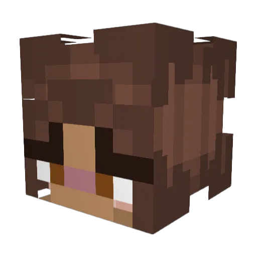 pestopesta Minecraft avatar head, 3D render