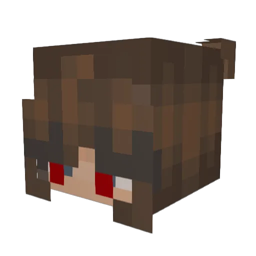 pesudo0 Minecraft avatar head, 3D render