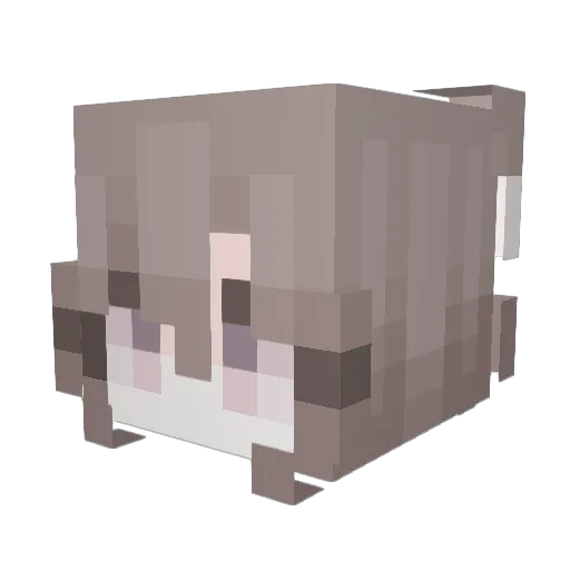 pet0_o Minecraft avatar head, 3D render