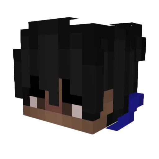 pet2r Minecraft avatar head, 3D render