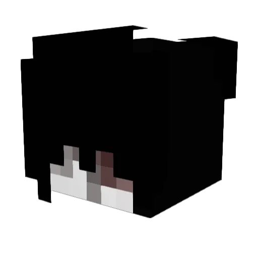 pet7 Minecraft avatar head, 3D render