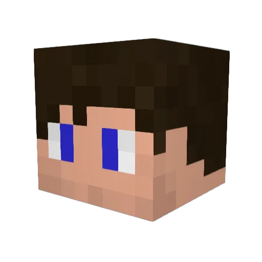 pet_0013 Minecraft avatar head, 3D render