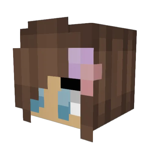 petal19 Minecraft avatar head, 3D render