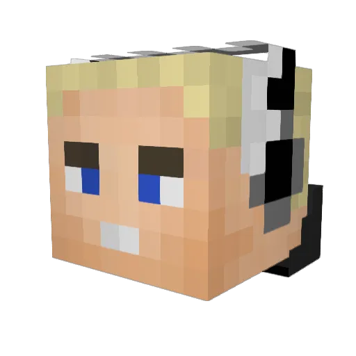 petdono Minecraft avatar head, 3D render