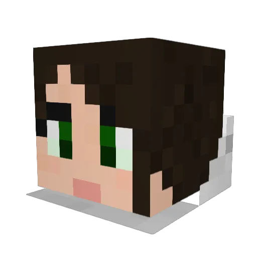 pete5000 Minecraft avatar head, 3D render