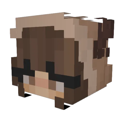 petecat Minecraft avatar head, 3D render