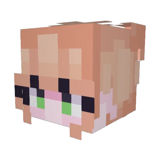 petehihi Minecraft avatar head, 3D render