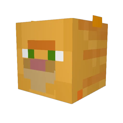 peter2012donkey Minecraft avatar head, 3D render