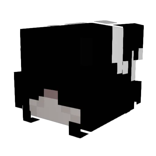 peter9160 Minecraft avatar head, 3D render