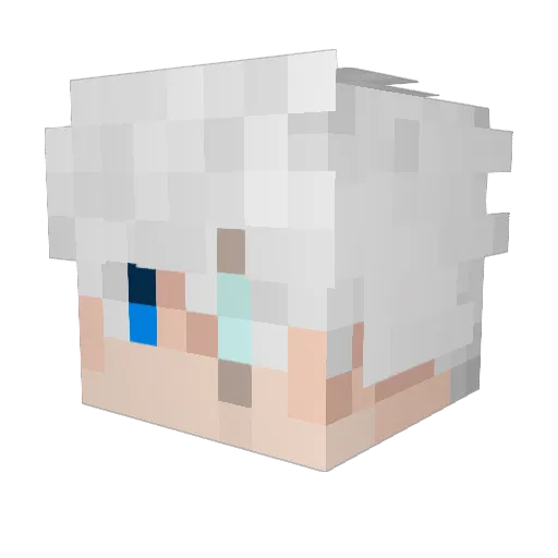peterp_ Minecraft avatar head, 3D render