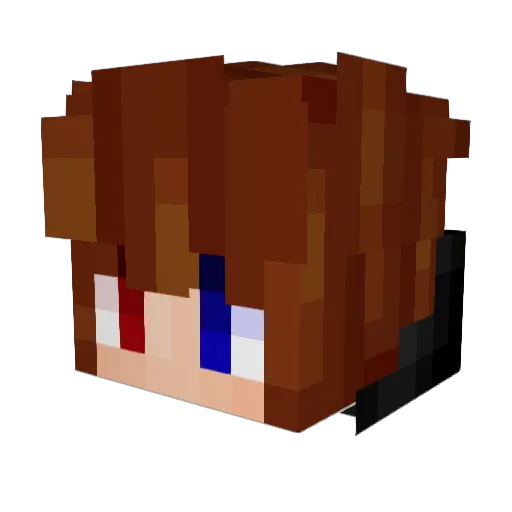 petershen Minecraft avatar head, 3D render