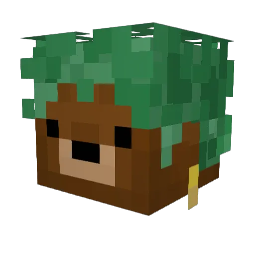 peterteo Minecraft avatar head, 3D render