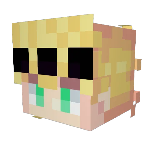 peterwin305 Minecraft avatar head, 3D render