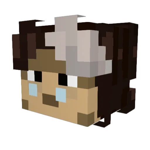 petey_d17 Minecraft avatar head, 3D render