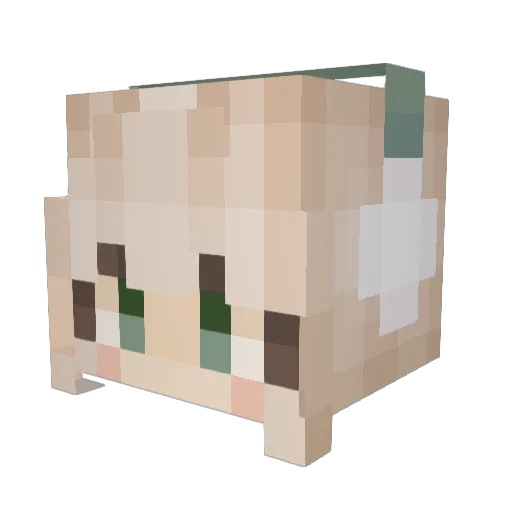 peteypablo13 Minecraft avatar head, 3D render