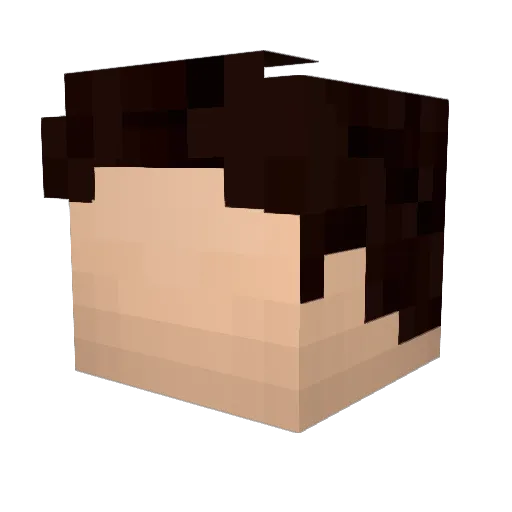 petinatti Minecraft avatar head, 3D render