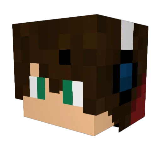 petino1 Minecraft avatar head, 3D render