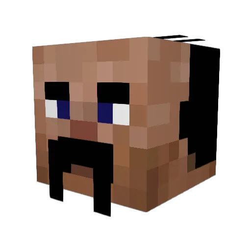 petis Minecraft avatar head, 3D render