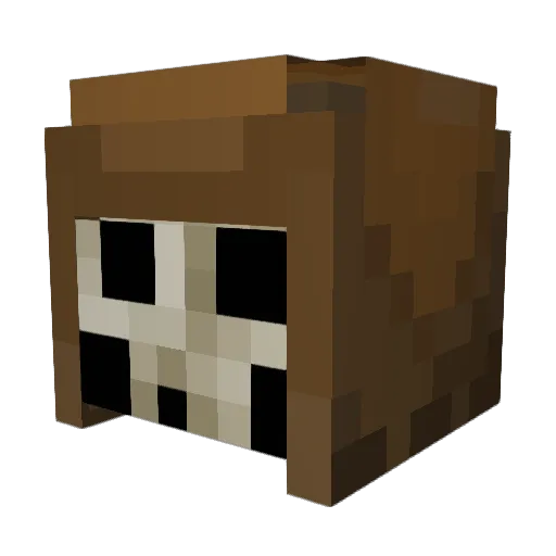 petit_oiseau Minecraft avatar head, 3D render