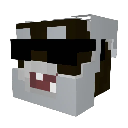 petitegirl Minecraft avatar head, 3D render