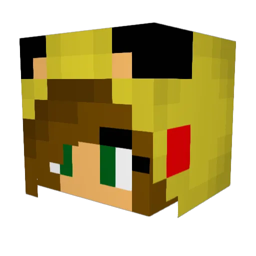 petitepuppyboy Minecraft avatar head, 3D render
