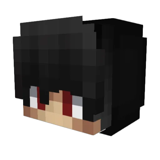 petkiller11 Minecraft avatar head, 3D render