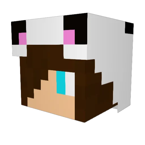 petllama Minecraft avatar head, 3D render
