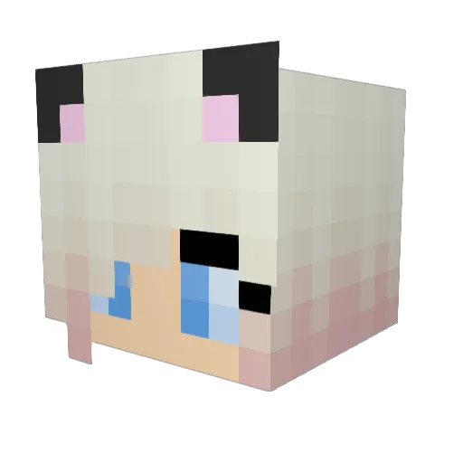 petloverheart Minecraft avatar head, 3D render