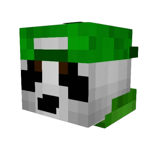 petmax113 Minecraft avatar head, 3D render