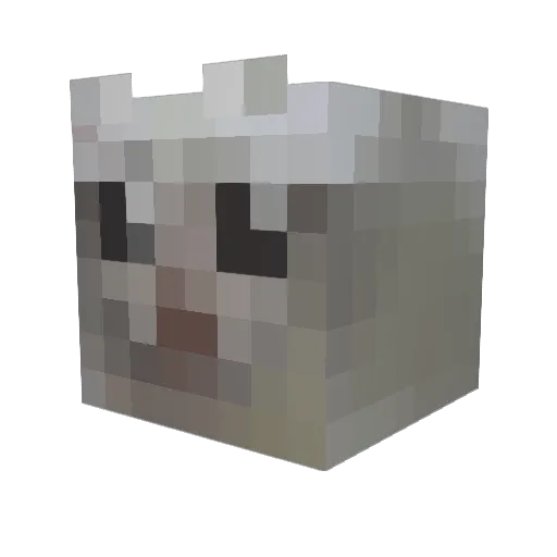 petmyfrog Minecraft avatar head, 3D render