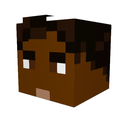 petraitis4 Minecraft avatar head, 3D render