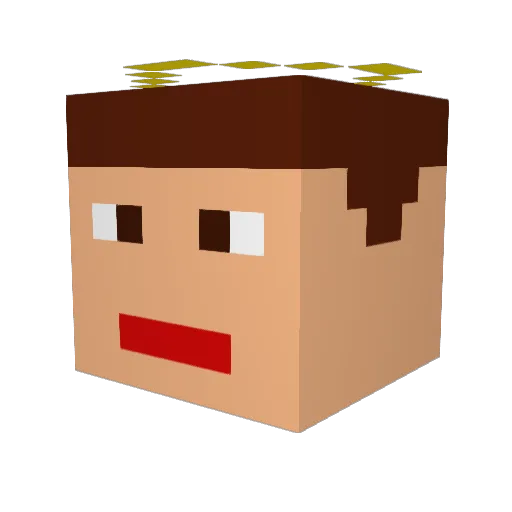 petranhoses Minecraft avatar head, 3D render