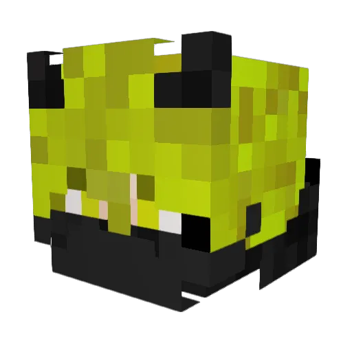 petzjr Minecraft avatar head, 3D render