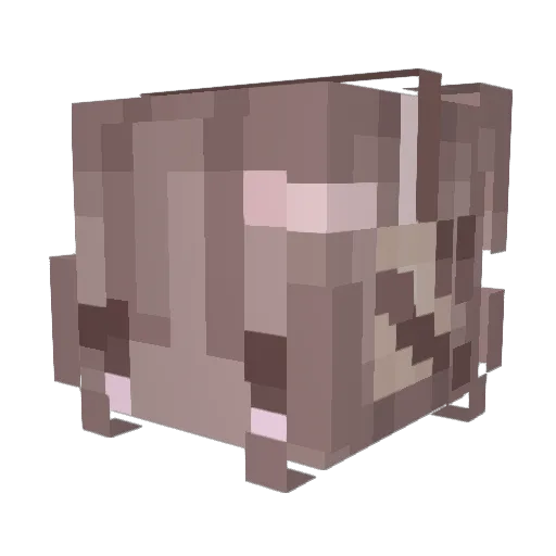 peuke Minecraft avatar head, 3D render