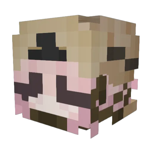 peyk47 Minecraft avatar head, 3D render